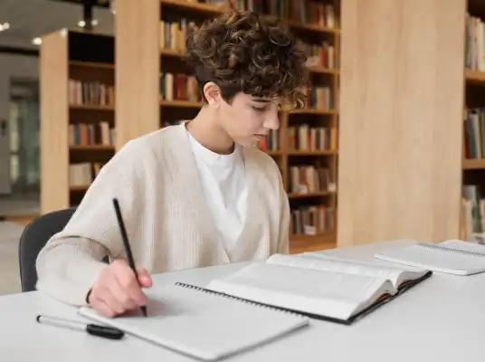 About Scholarly Academic Support